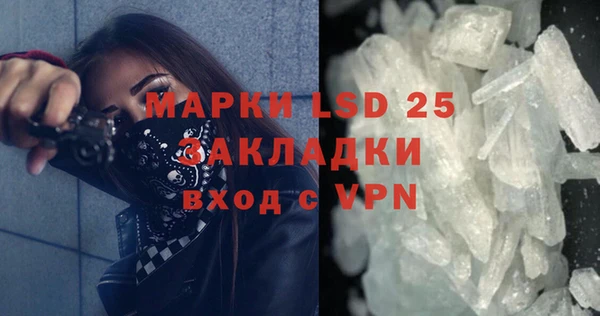 ПСИЛОЦИБИНОВЫЕ ГРИБЫ Михайлов
