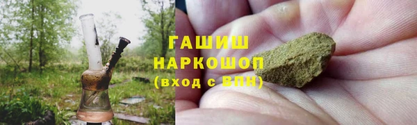 ПСИЛОЦИБИНОВЫЕ ГРИБЫ Михайлов