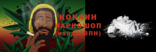 дмт Надым