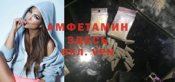 ПСИЛОЦИБИНОВЫЕ ГРИБЫ Михайлов