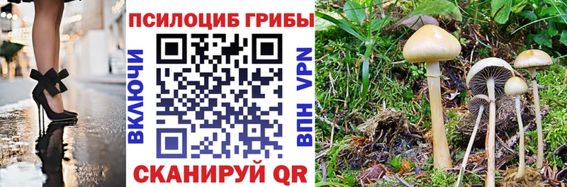 kraken ссылки  Шагонар  Псилоцибиновые грибы мухоморы 